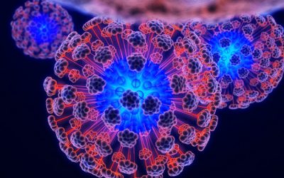 Neuroeducación en el aula: algunas ideas clave