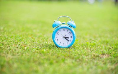 Las edades del aprendizaje: todo tiene su tiempo